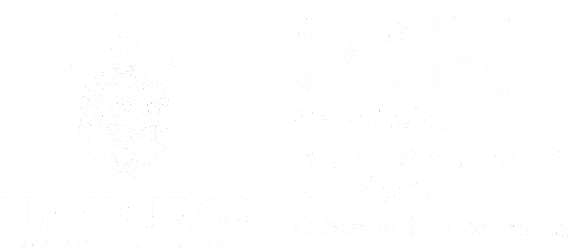 Servicio Aeroportuario Nacional